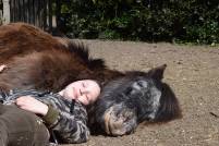 Vertrauen Qualitätszeit Achtsamkeit Natürlich mit Pferd Pferdepsychologie, Verhaltenstherapie und individuelles Training